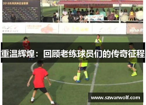 重温辉煌：回顾老练球员们的传奇征程